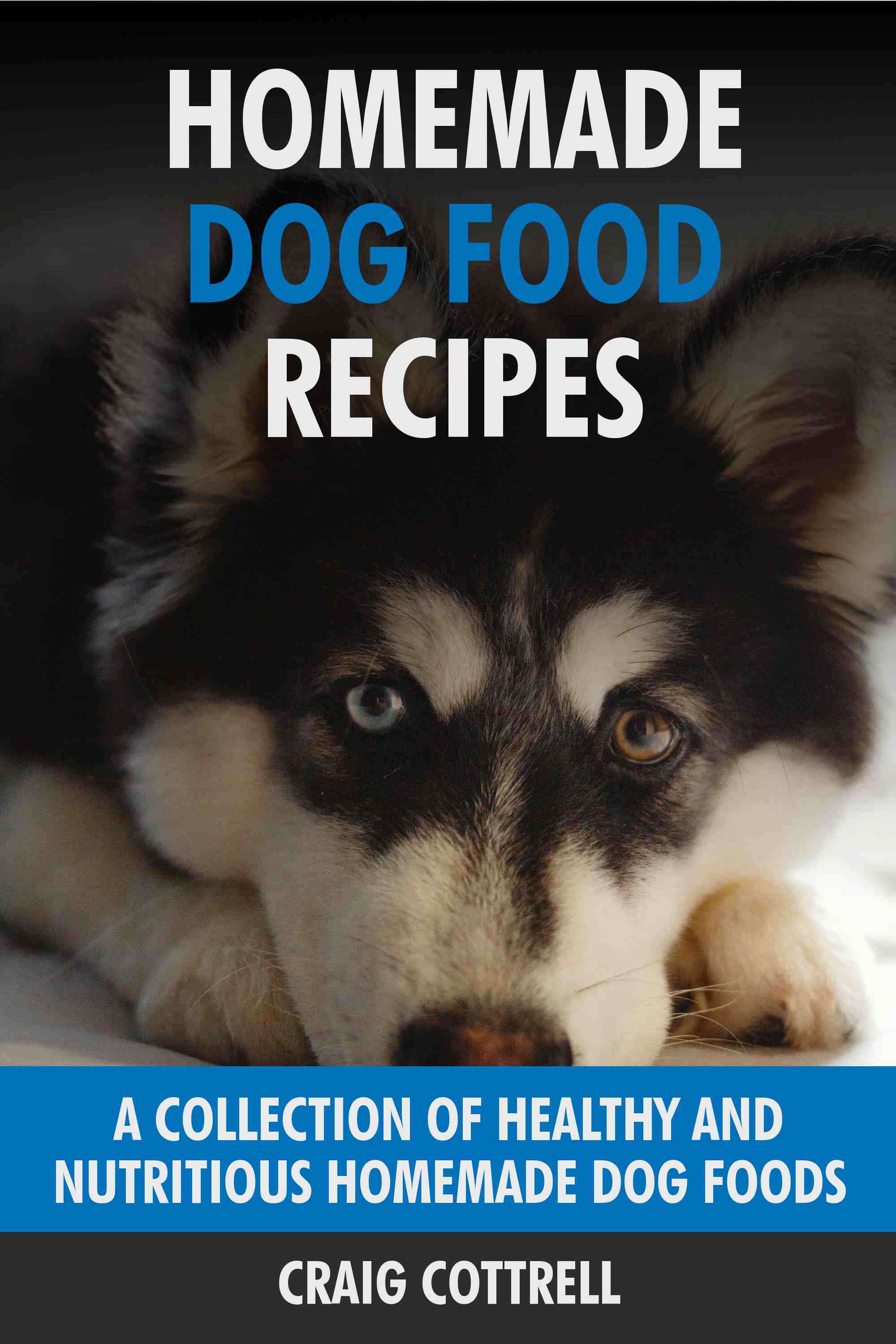A Collection of Healthy and Nutritious Homemade Dog Foods.
