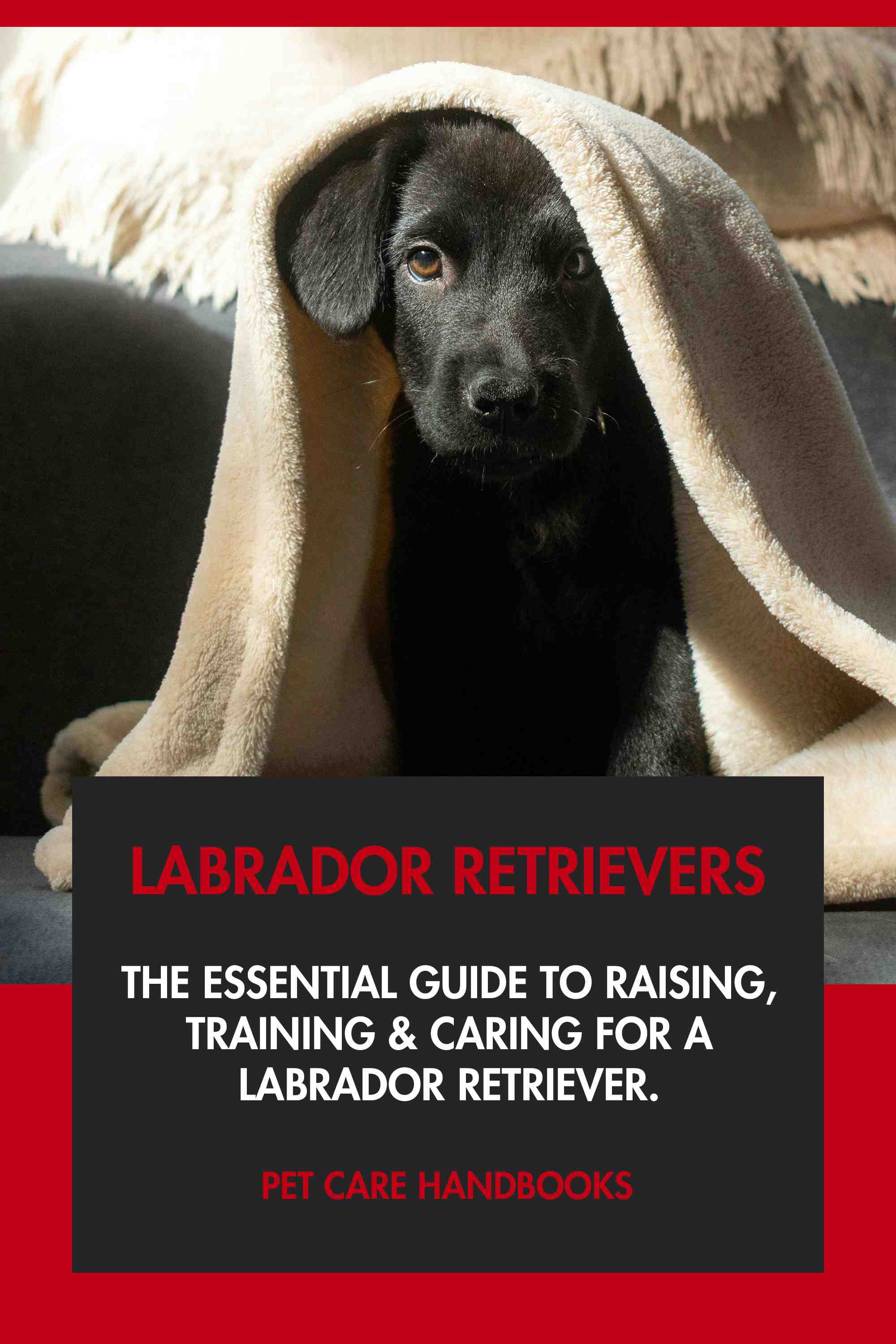 The Essential Guide to Raising, Training & Caring for A Labrador Retriever.