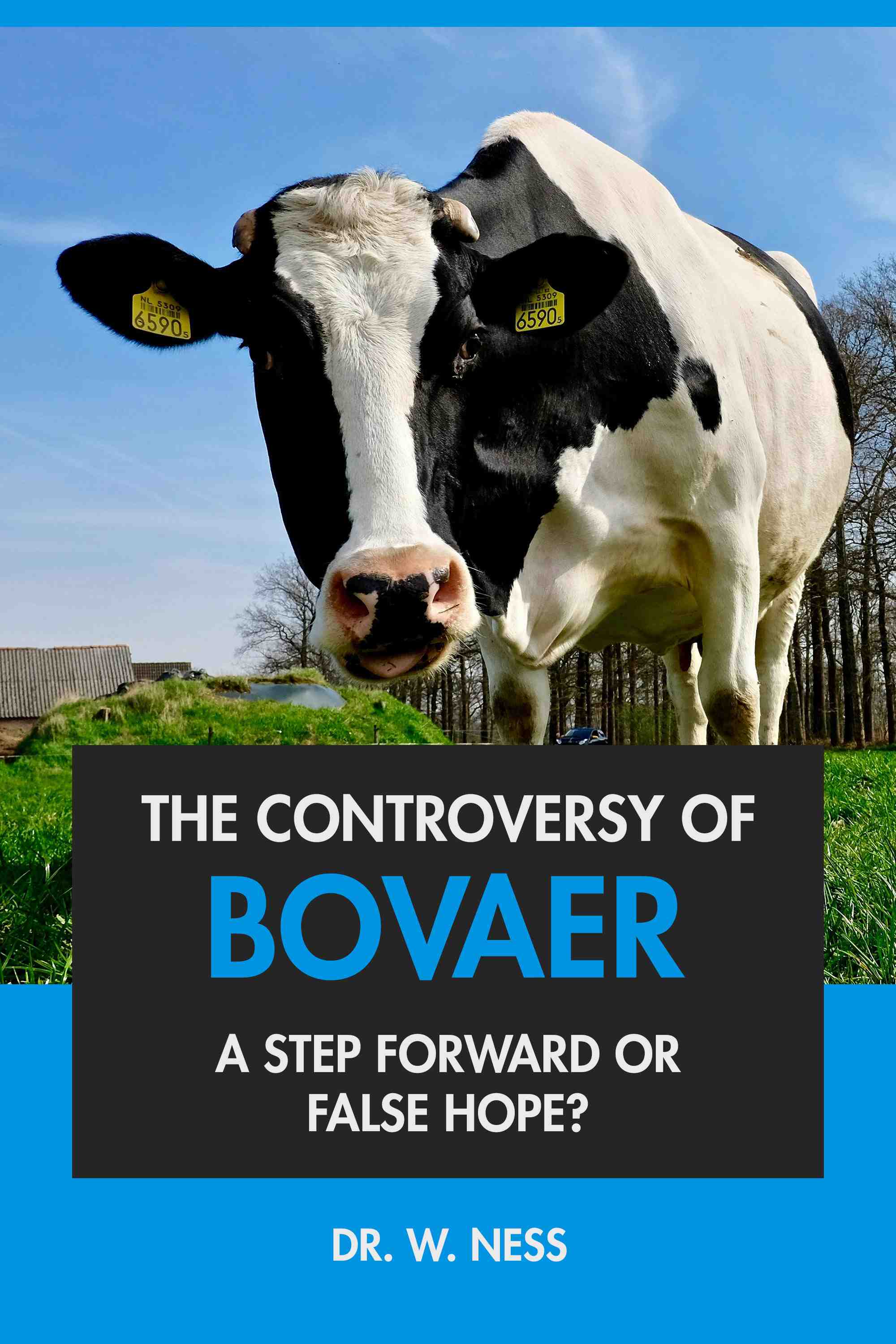 A Step Forward or a False Hope?