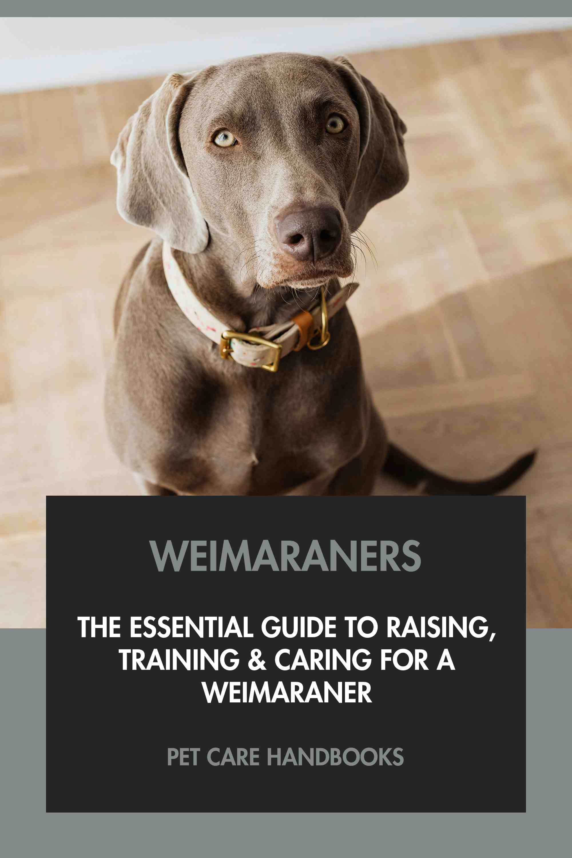 The Essential Guide to Raising, Training & Caring for A Weimaraner